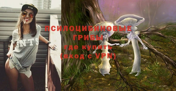 первитин Абинск