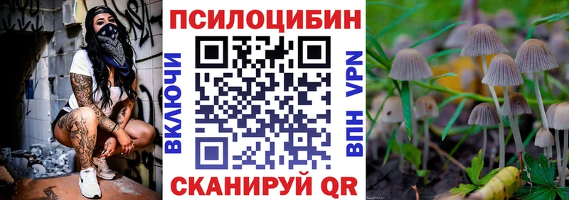 Галлюциногенные грибы мухоморы  цена наркотик  shop какой сайт  Тбилисская 